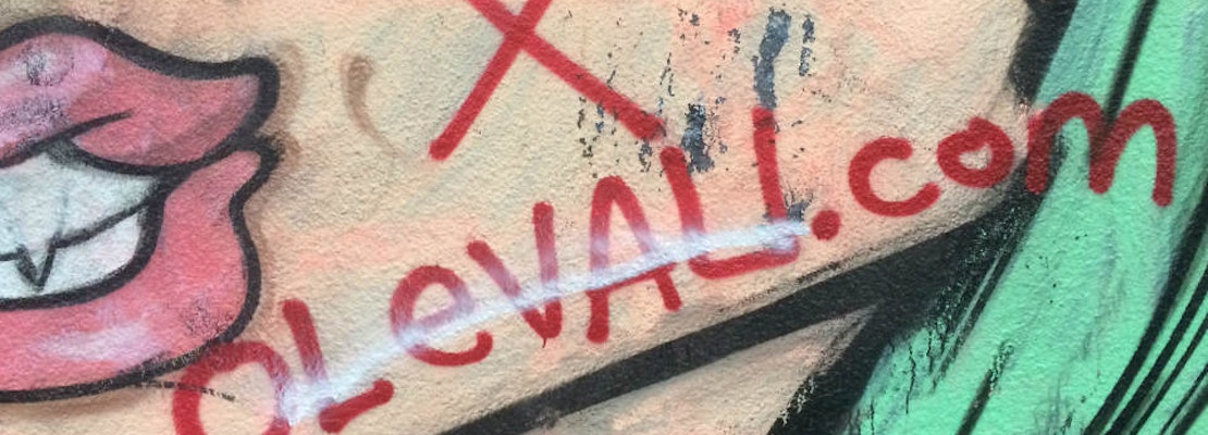 What's The Deal With This Serial Vandal?