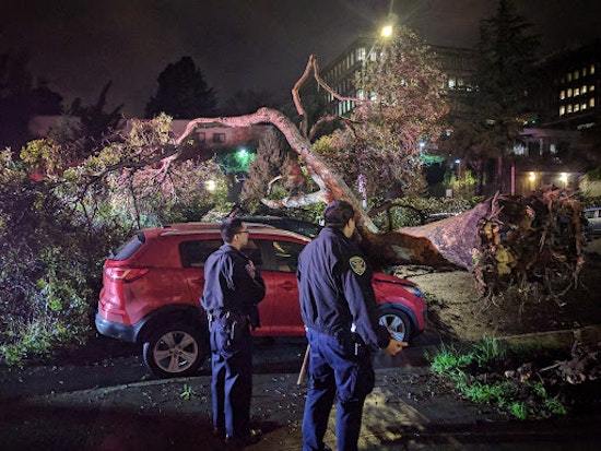 Storm Report: BART Shutdown & Chaos At 24th Street Station, Downed Trees Galore, More