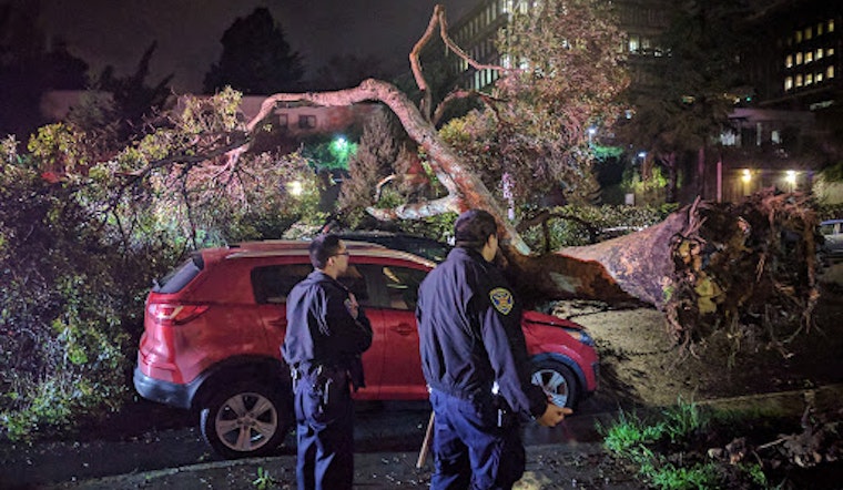 Storm Report: BART Shutdown & Chaos At 24th Street Station, Downed Trees Galore, More