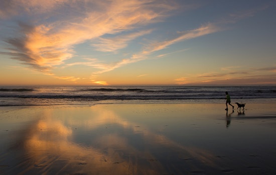 New Restrictions On Dogs At Ocean Beach, Other Recreation Areas Postponed Amid Controversy