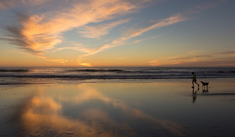 New Restrictions On Dogs At Ocean Beach, Other Recreation Areas Postponed Amid Controversy