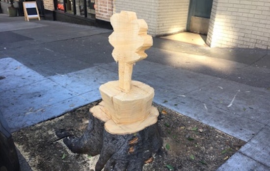 Spotted: Fallen Tree Artfully Memorialized At Fillmore & Bush