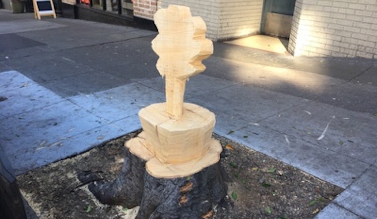 Spotted: Fallen Tree Artfully Memorialized At Fillmore & Bush