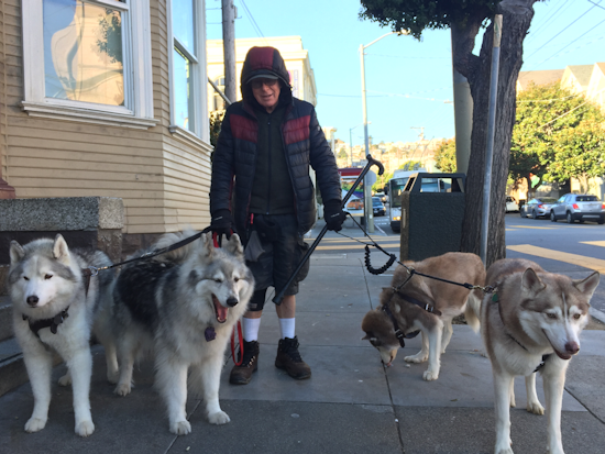 Meet Long-Time Castro Resident & Dog Walker Bill Heter