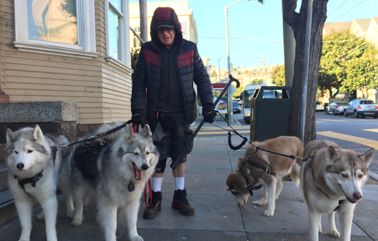 Meet Long-Time Castro Resident & Dog Walker Bill Heter