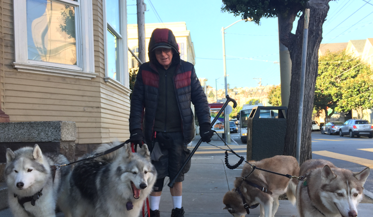Meet Long-Time Castro Resident & Dog Walker Bill Heter