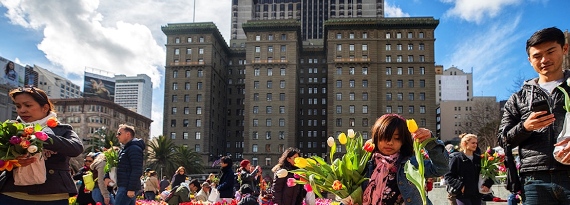 SF weekend: 100,000 tulips in Union Square, Black Cuisine Festival, Russian cultural festival, more