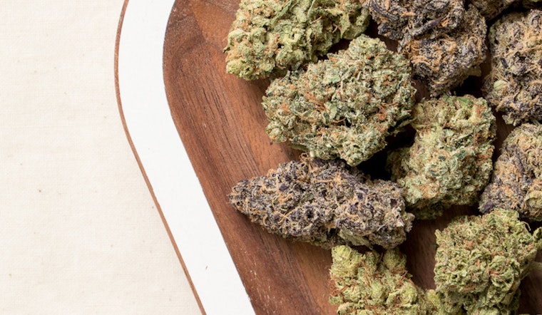 Seeing Green: Relax With These Upcoming Weed-Friendly Events