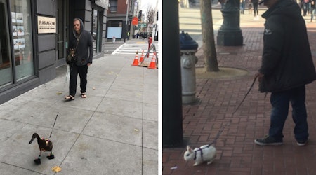 Spotted: Bunny, Duck Walkers Keep San Francisco Weird [Updated]