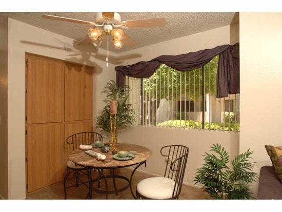 What's the cheapest rental available in Paradise Valley, right now?