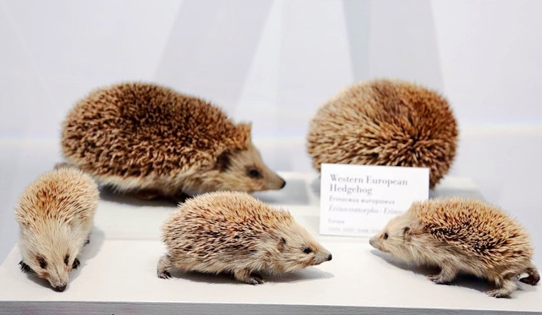 The 3 best museums in Cambridge