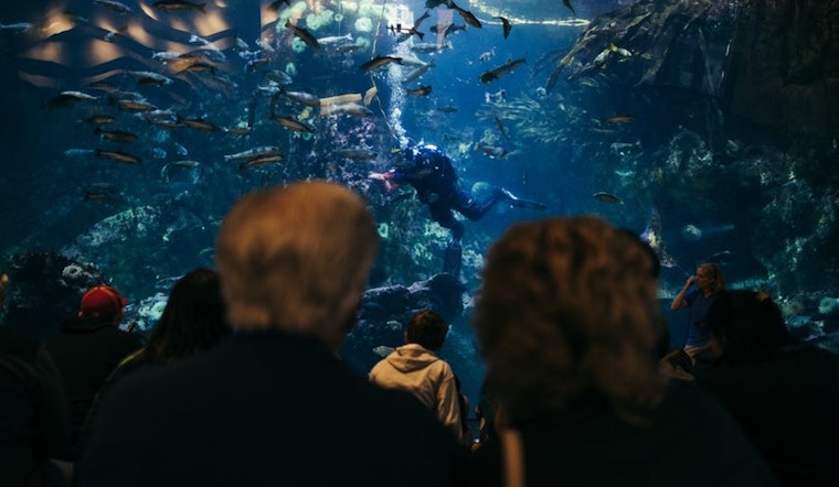 3 events worth checking out in Seattle this week
