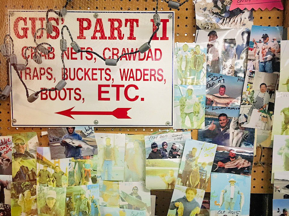gus bait and tackle