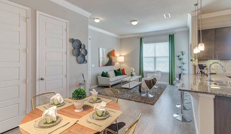 The cheapest apartment rentals in University Place, explored