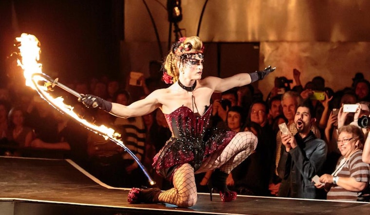 Oakland Weekend: Beer Brunch, Story Slam, Hot Couture, Cat Comedy, More