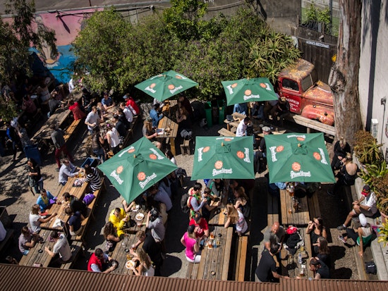 Planning Commission Votes To Preserve Zeitgeist’s Sunny Beer Garden