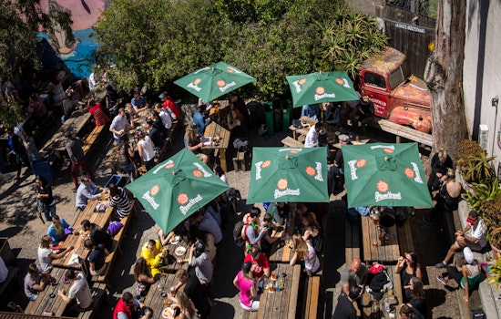 Planning Commission Votes To Preserve Zeitgeist’s Sunny Beer Garden