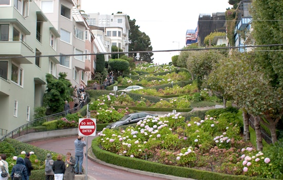SF May Soon Charge For A Drive Down Lombard's 'Crooked Street'