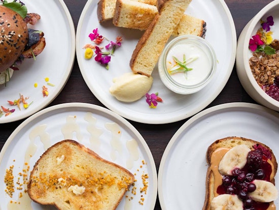 New Eats: Shiba Ramen, Drip Line, Suchimu Crib, Lady Esther's, More