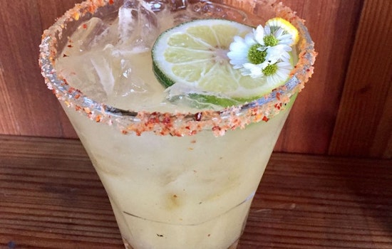 Where To Celebrate National Margarita Day In Oakland