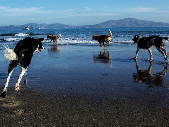 Get Off The Couch: 23 Ways To Have Fun In San Francisco This Weekend