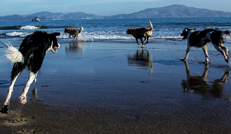 Get Off The Couch: 23 Ways To Have Fun In San Francisco This Weekend
