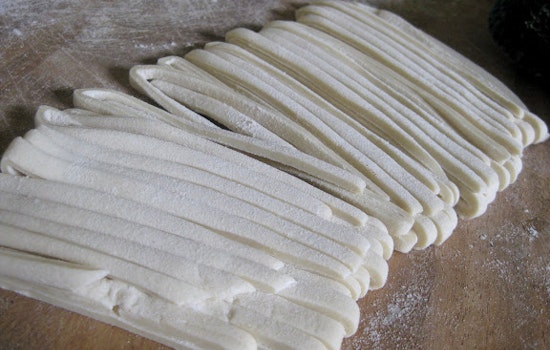 Hot Off The Tipline: Richmond District Auto Thefts, Coyote Sightings, New Udon Eatery, And More
