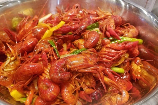 Explore the newest businesses to debut in Houston