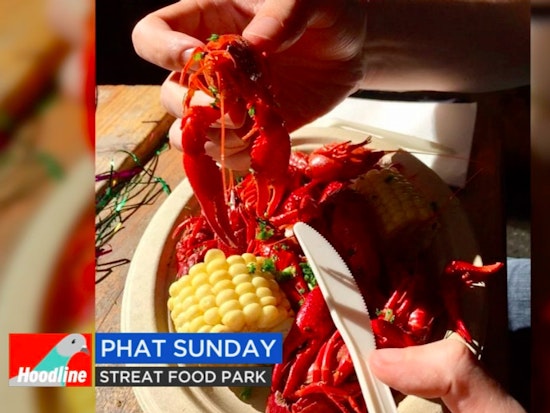 This Weekend: Mardi Gras In San Francisco, Final Days Of The SPCA Pop Up, And More [Video]