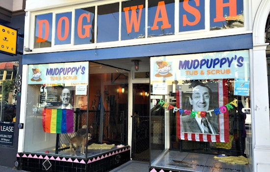 Artists Wanted For Castro Merchants' Harvey Milk Birthday Tribute