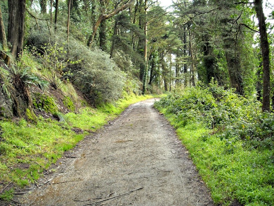 Supervisors To Vote On Contentious Natural Areas Plan As Forest Alliance Rallies For Further Review