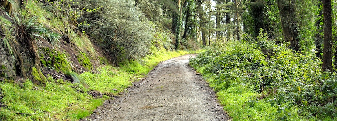 Supervisors To Vote On Contentious Natural Areas Plan As Forest Alliance Rallies For Further Review