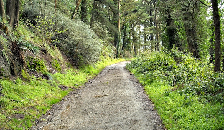 Supervisors To Vote On Contentious Natural Areas Plan As Forest Alliance Rallies For Further Review