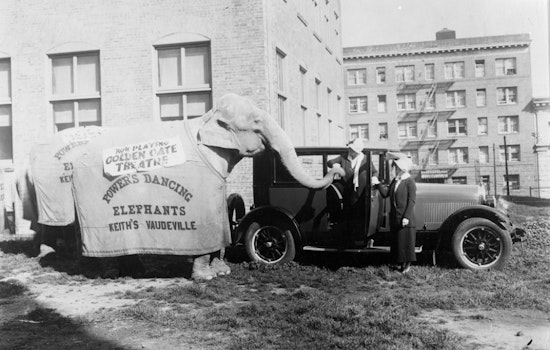 Remembering The Elephants Of San Francisco