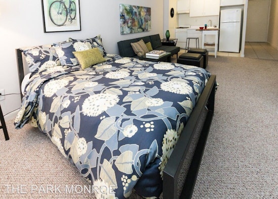 Renting in Mount Pleasant: What will $1,500 get you?