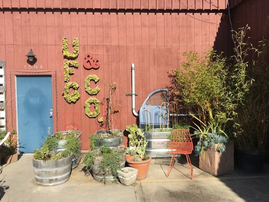 Meet Urban Farmgirls, Bayview's Homegrown Garden Design Studio