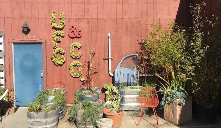 Meet Urban Farmgirls, Bayview's Homegrown Garden Design Studio