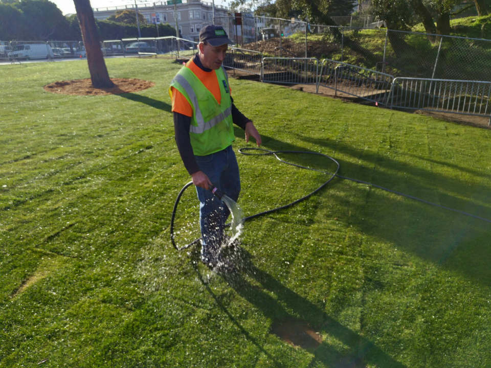 Upgrades To Golden Gate Park's Alvord Lake Begin With A Fresh Lawn