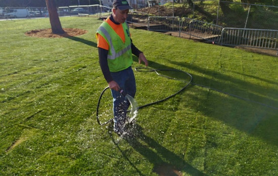 Upgrades To Golden Gate Park's Alvord Lake Begin With A Fresh Lawn