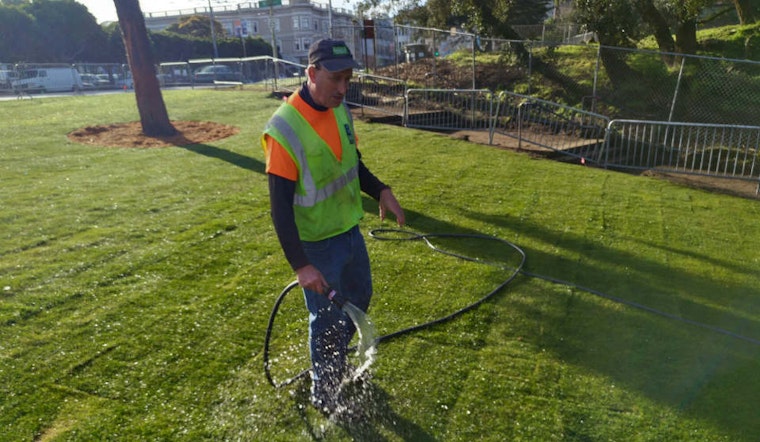 Upgrades To Golden Gate Park's Alvord Lake Begin With A Fresh Lawn