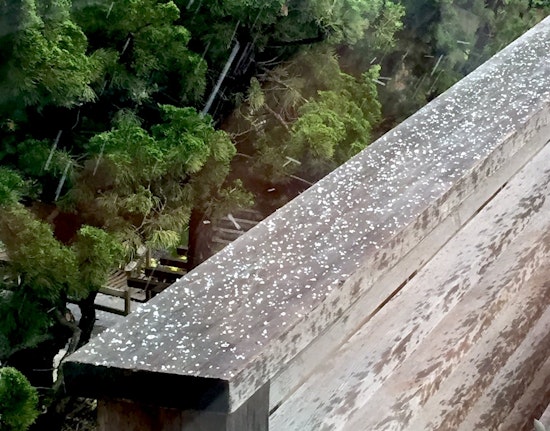 Locals Perplexed By Sudden Appearance Of Hail In San Francisco