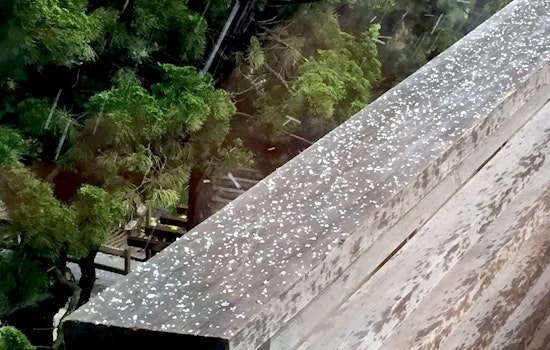 Locals Perplexed By Sudden Appearance Of Hail In San Francisco