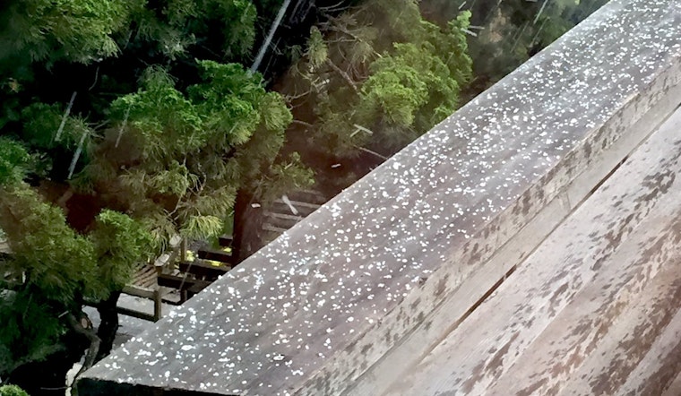 Locals Perplexed By Sudden Appearance Of Hail In San Francisco