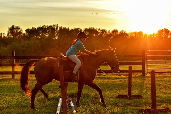 Family and learning deals worth seeking out in Pearland this week
