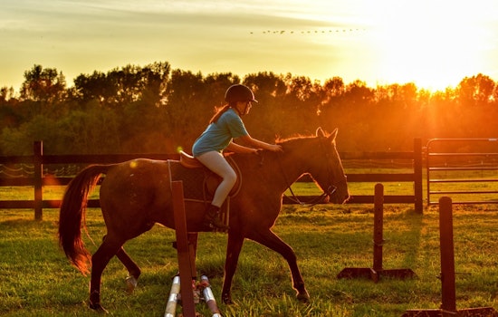 Family and learning deals worth seeking out in Pearland this week