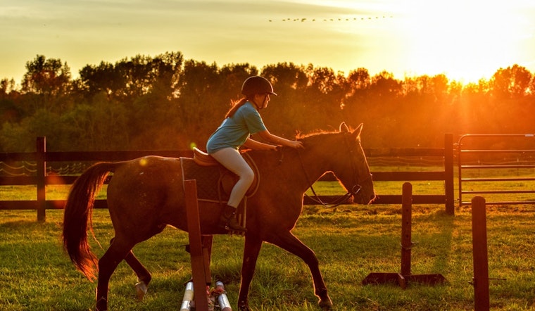 Family and learning deals worth seeking out in Pearland this week