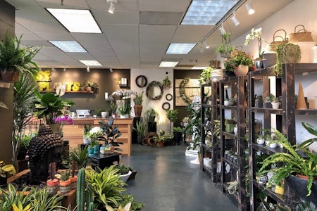 'SF Plants' brings potted plants, succulents, tools and more to Polk Street