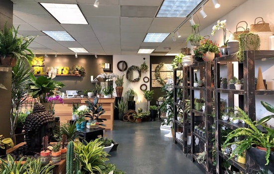 'SF Plants' brings potted plants, succulents, tools and more to Polk Street