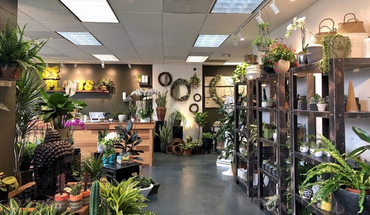 'SF Plants' brings potted plants, succulents, tools and more to Polk Street