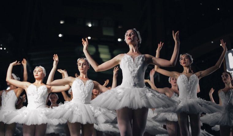 Performing and visual arts events worth seeking out in New York City this week
